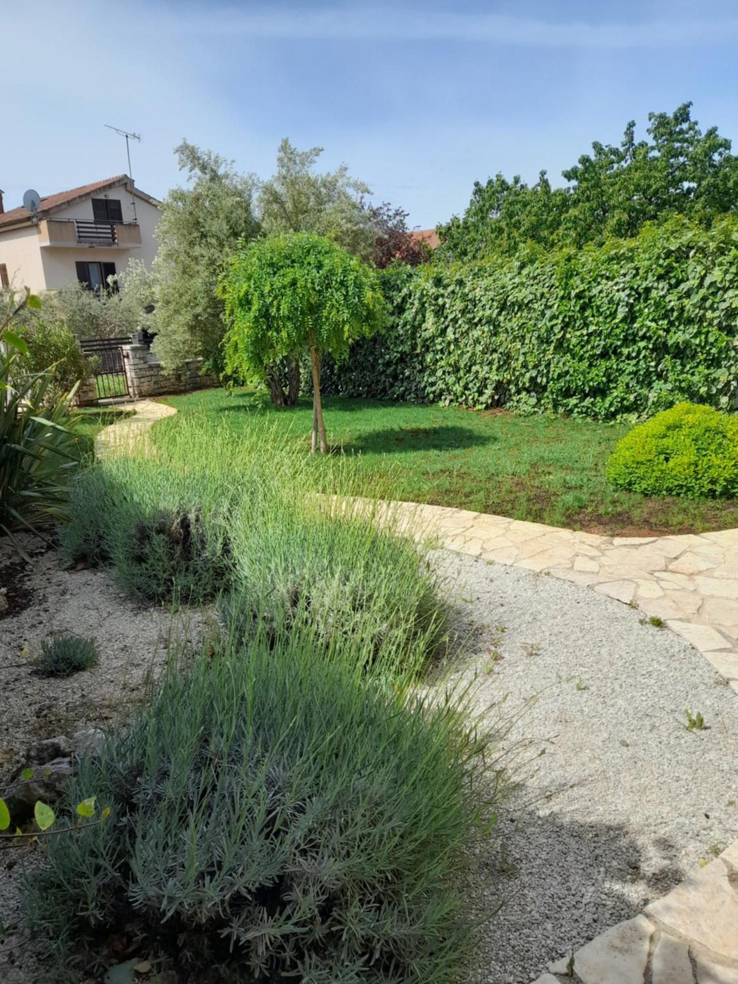 Salvia 4 Stars Apartment Poreč Zewnętrze zdjęcie